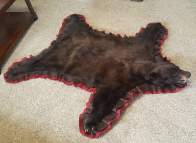 bear rug